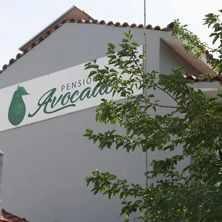 Hotel Avocado